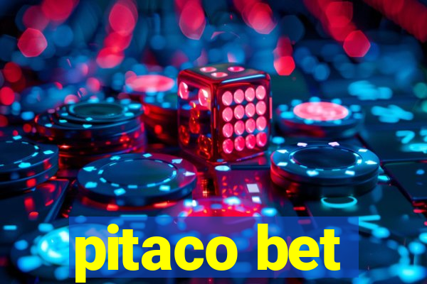 pitaco bet